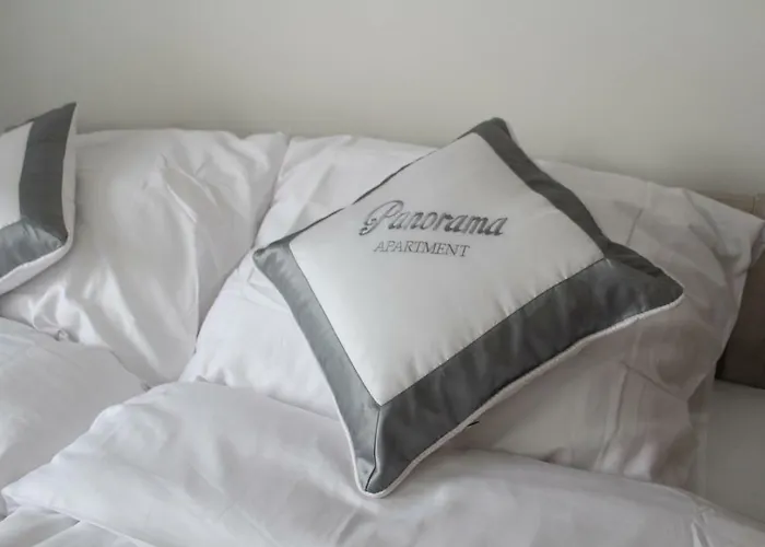 Panorama カルロヴィ・ヴァリ