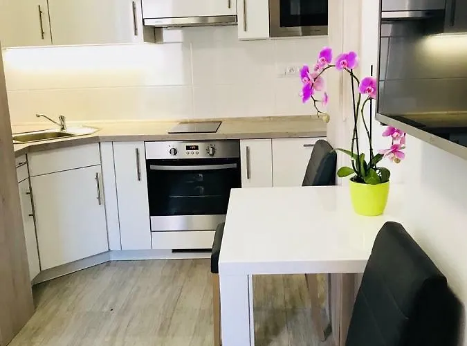 Panorama アパートホテル カルロヴィ・ヴァリ